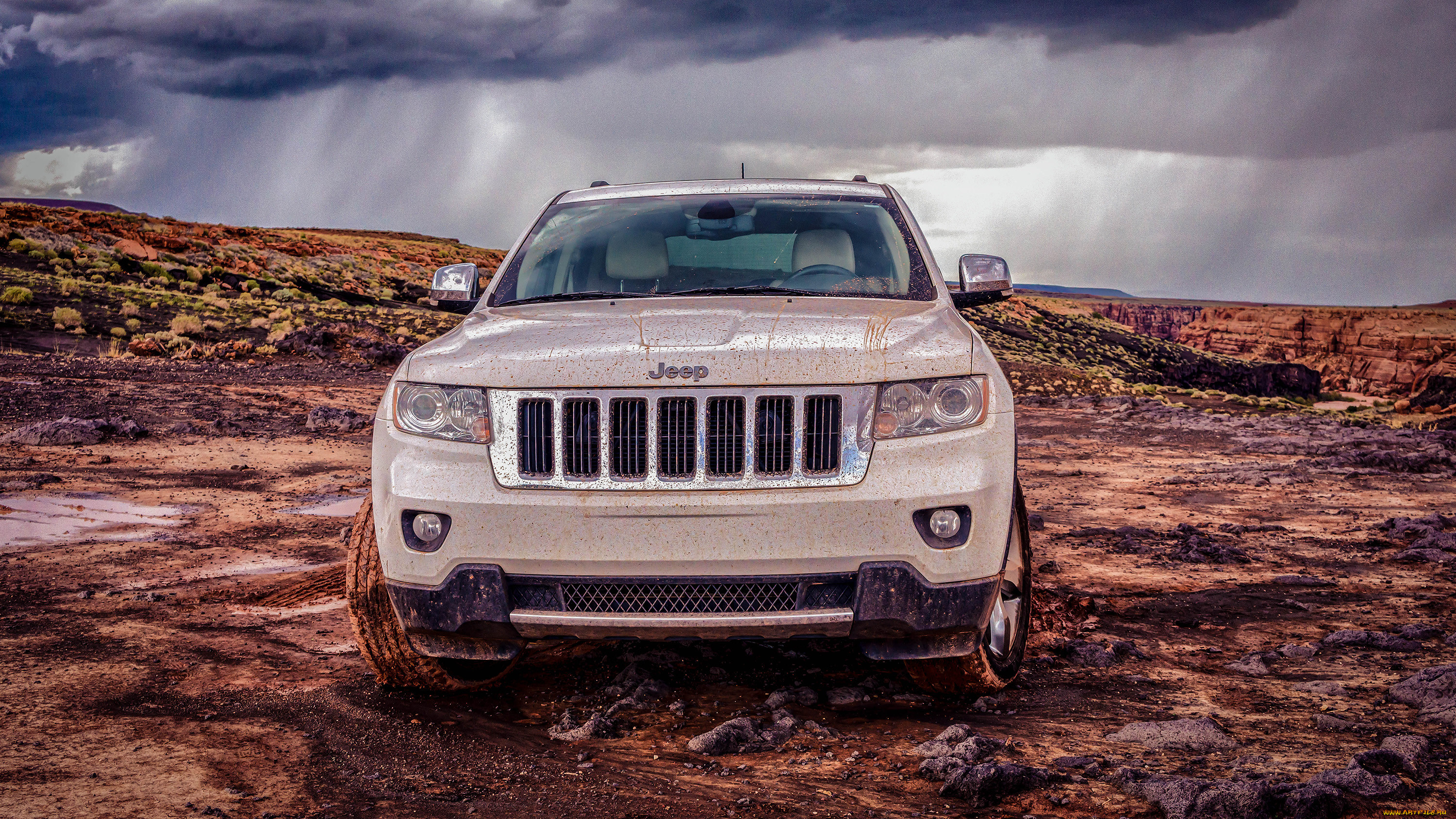 , jeep, 